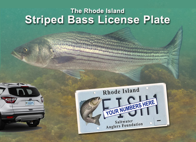 Rhode Island Saltwater Fishing License Plate: FAQ